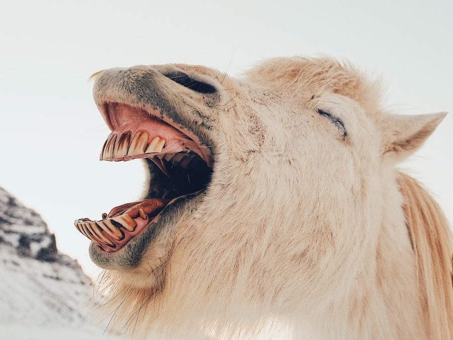 10 fausses croyances